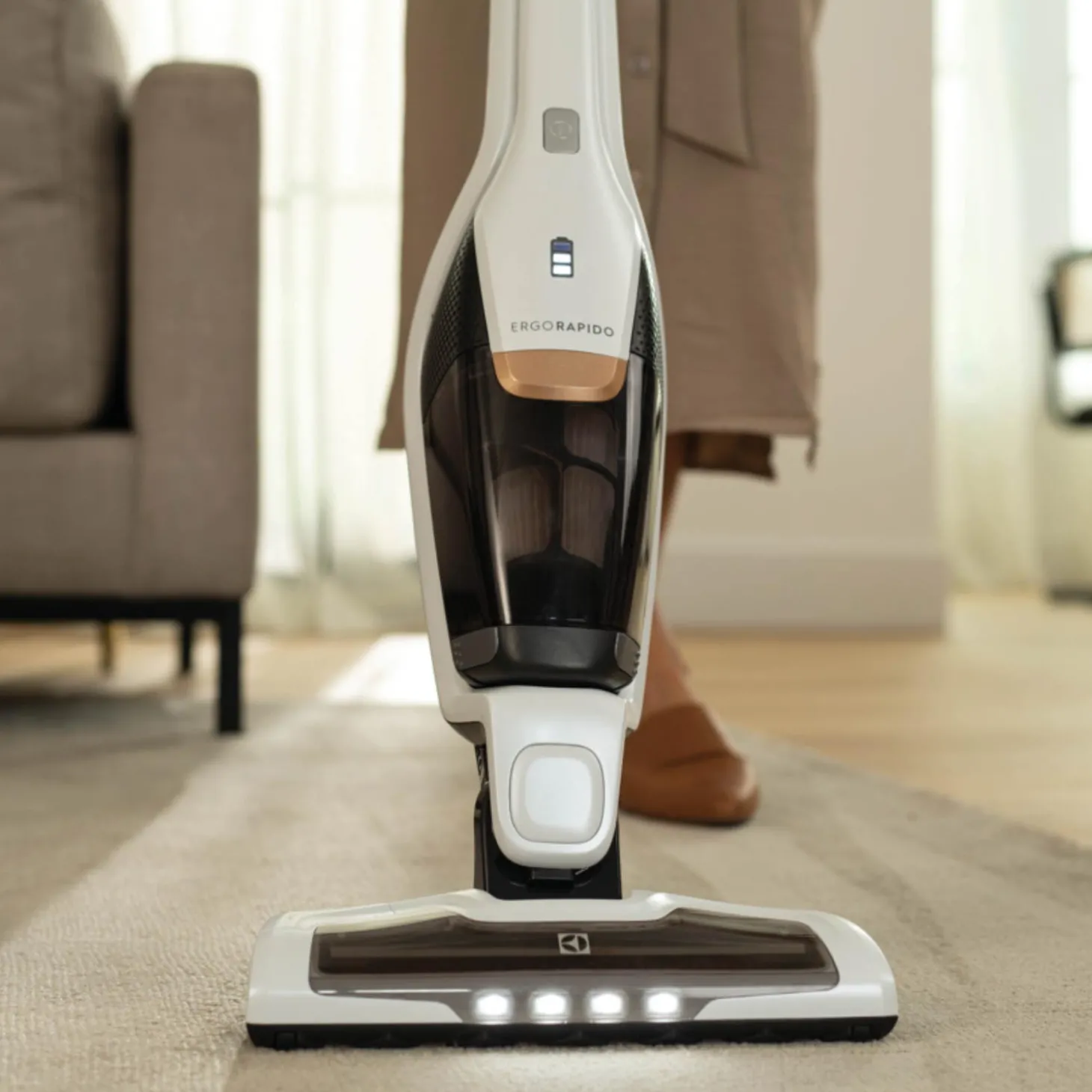 Aspirateur sans fil Ergorapido - EHVS2510AW