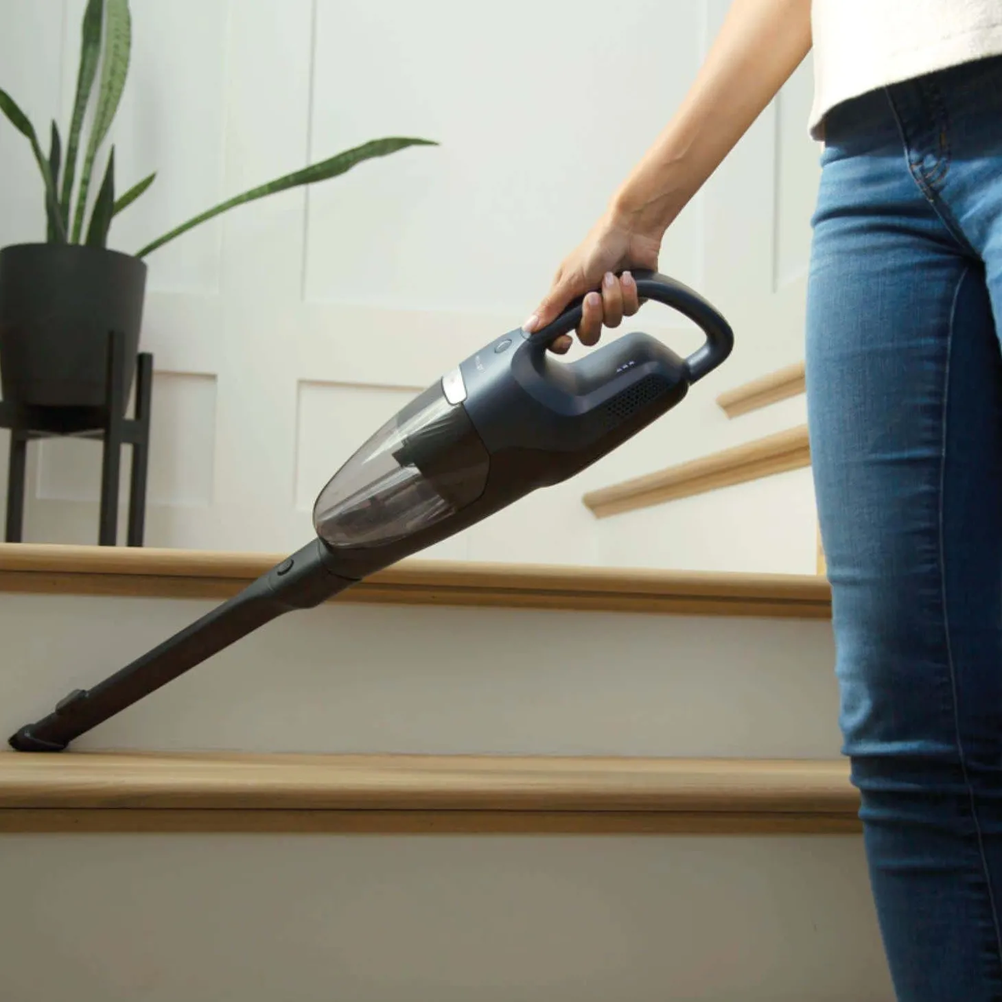 Aspirateur sans fil pour poils d'animaux WellQ7 - EHVS35P2AI