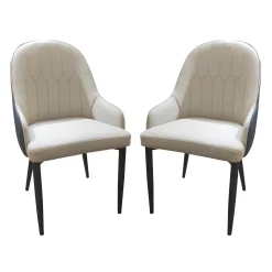 Chaises rembourrées (bte de 2) - beige et bleu-gris