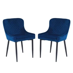 Chaises rembourrées (bte de 2) - bleu
