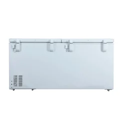 DANBY Congélateur 21 pi3, Blanc, Horizontal, 80