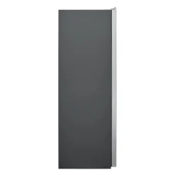 Frigidaire Professional Congélateur 19 pi3 33 po, Inox, Vertical, 33