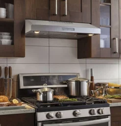 GE Profile Hotte Standard Acier inoxydable 30