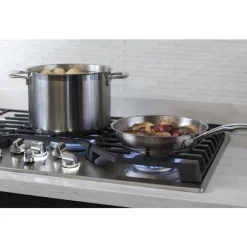 GE Profile Table de cuisson Gaz Acier inoxydable 36" Acier inoxydable - PGP9036SLSS