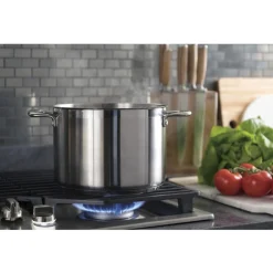 GE Profile Table de cuisson Gaz Acier inoxydable 36