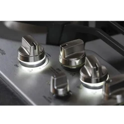 GE Profile Table de cuisson Gaz Acier inoxydable 30
