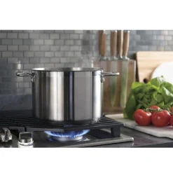GE Profile Table de cuisson Gaz Acier inoxydable 30