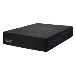 Matelas queen roulé en mousse mémoire semi-ferme - 60