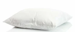 Oreiller en plumes et duvet