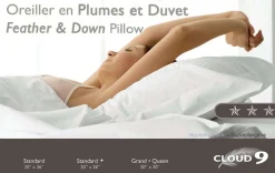 Oreiller en plumes et duvet
