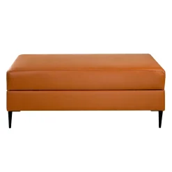 Ottoman en cuir véritable avec rangement - cognac