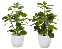 Plante artificielle 14" (boîte de 2)