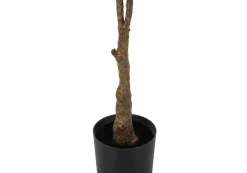 Plante artificielle - 52
