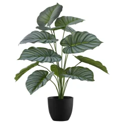 Plante artificielle - 24"H, calathea intérieur pot 5"