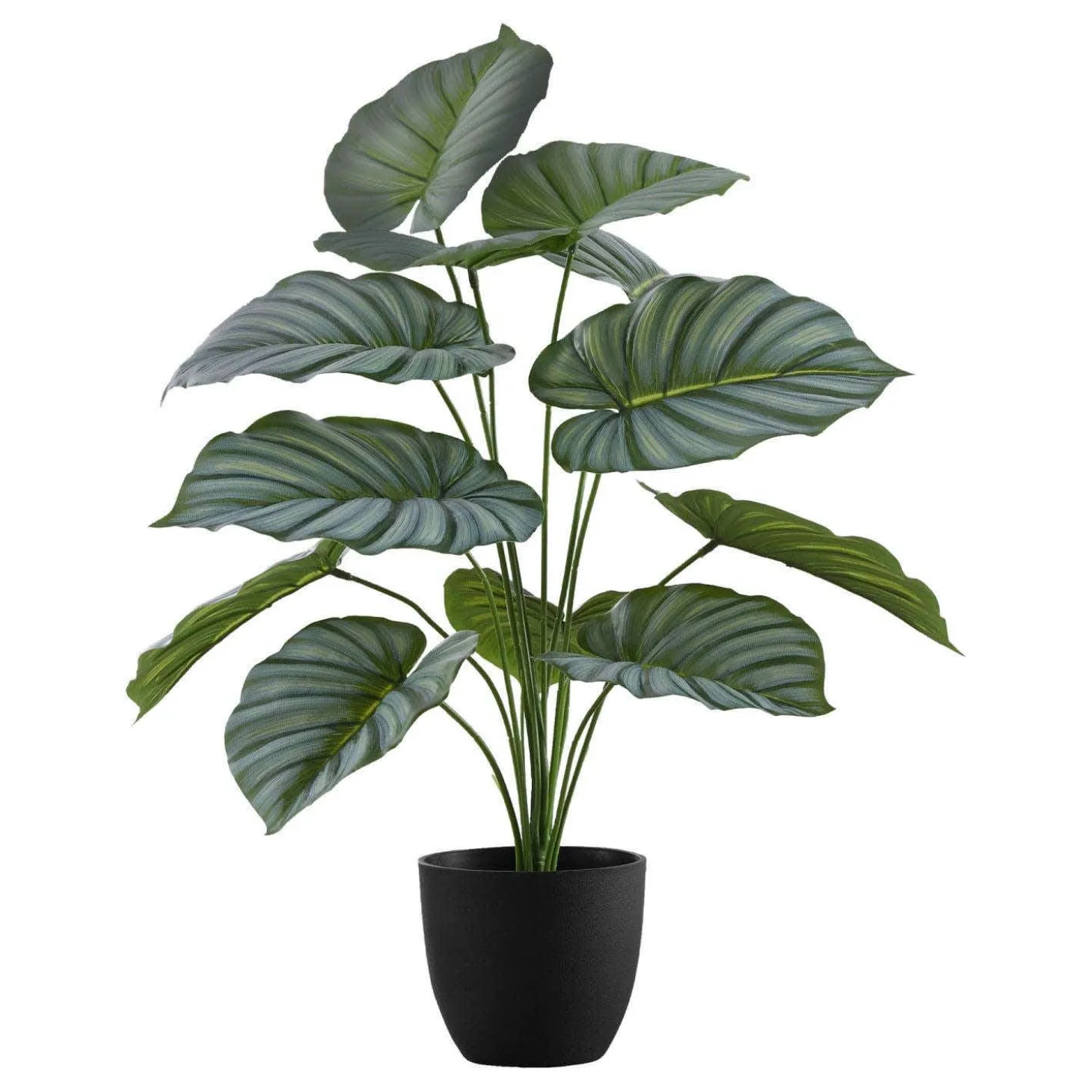 Plante artificielle - 24"H, calathea intérieur pot 5"