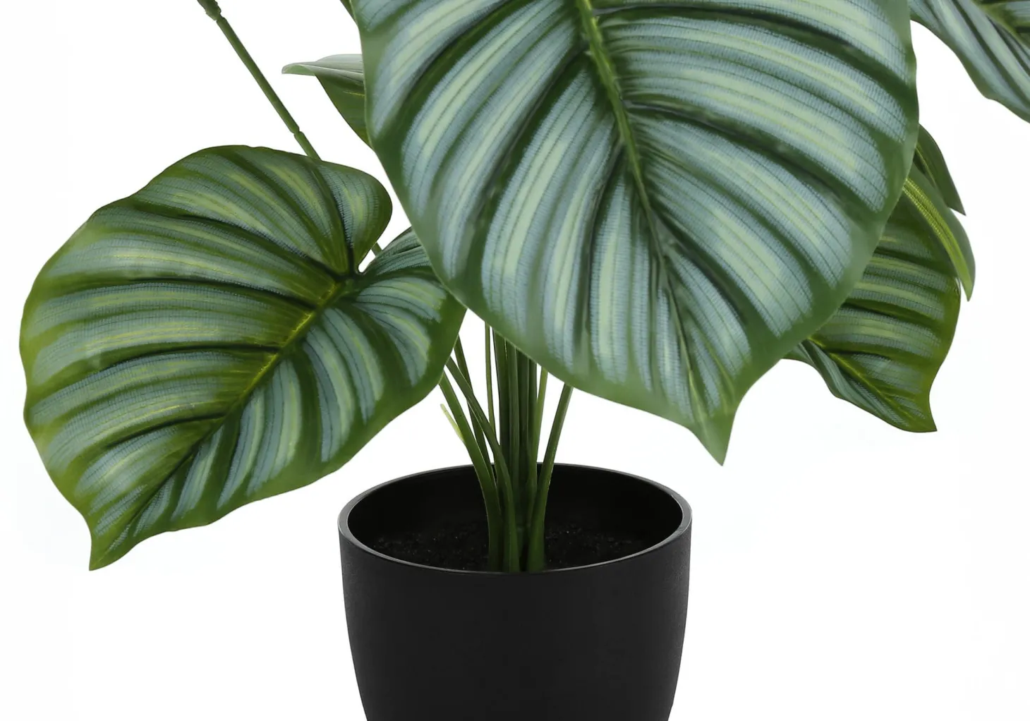 Plante artificielle - 24"H, calathea intérieur pot 5"