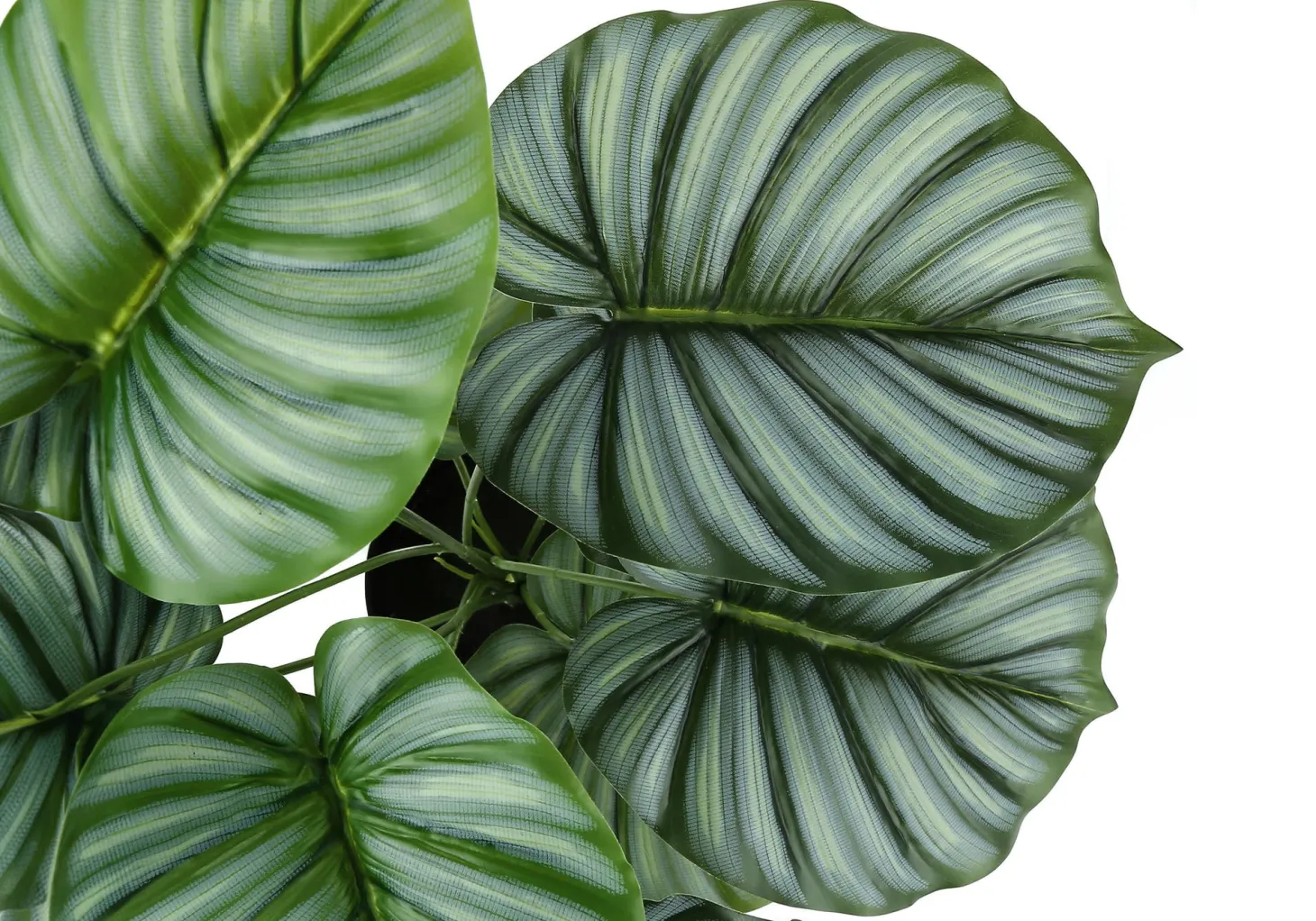 Plante artificielle - 24"H, calathea intérieur pot 5"