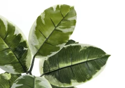 Plante artificielle - 52