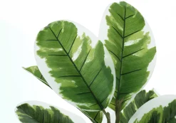 Plante artificielle - 27