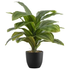 Plante artificielle - 17"H, dracaena intérieur pot 4"