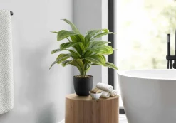 Plante artificielle - 17"H, dracaena intérieur pot 4"