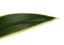 Plante artificielle - 47