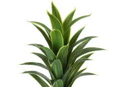 Plante artificielle - 47