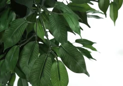 Plante artificielle - 58