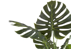 Plante artificielle - 55