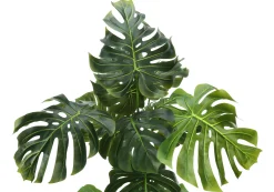 Plante artificielle - 55