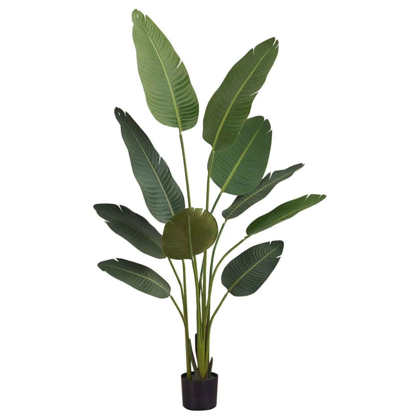 Plante artificielle - 60"H, oiseau de paradis pot 5"