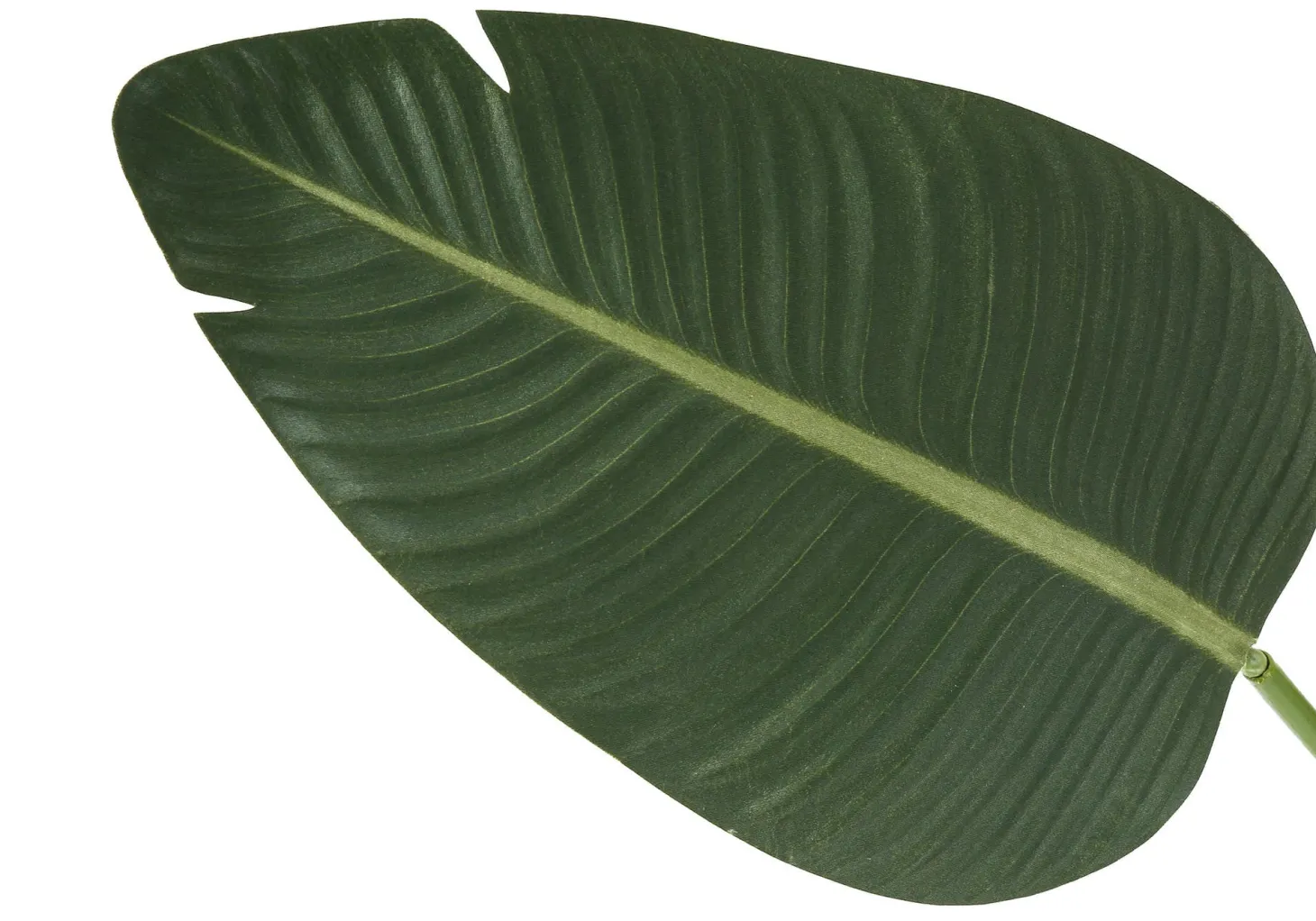 Plante artificielle - 60"H, oiseau de paradis pot 5"