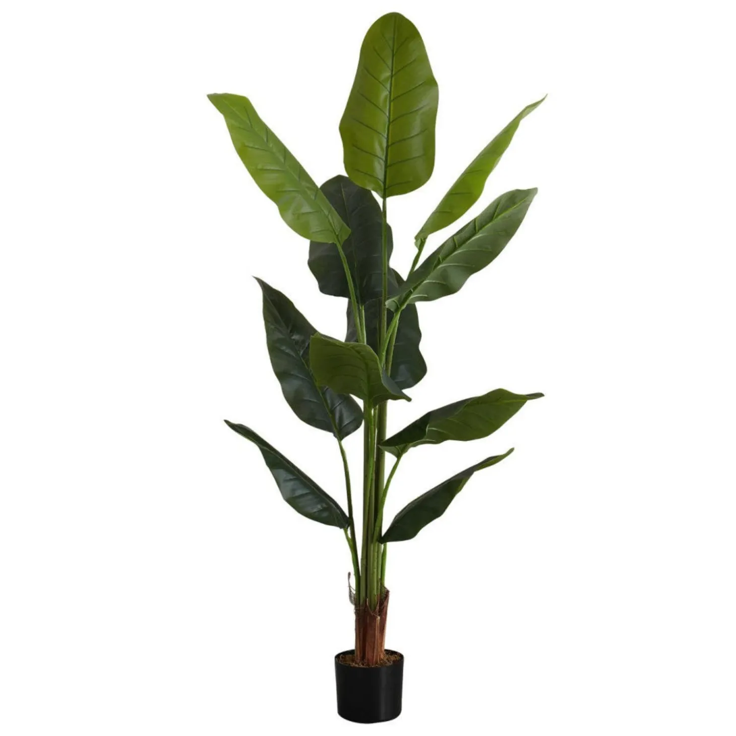Plante artificielle - 59"H, strelitzia intérieur pot 5"