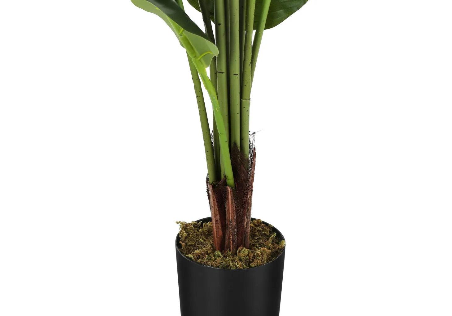 Plante artificielle - 59"H, strelitzia intérieur pot 5"
