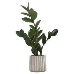 Plante artificielle - 20"H, zz intérieur pot ciment 5"