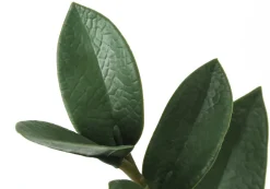 Plante artificielle - 29