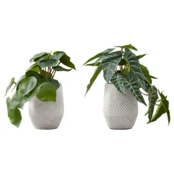 Plante artificielle - 2mcx, 8"H alocasia pot ciment 5"
