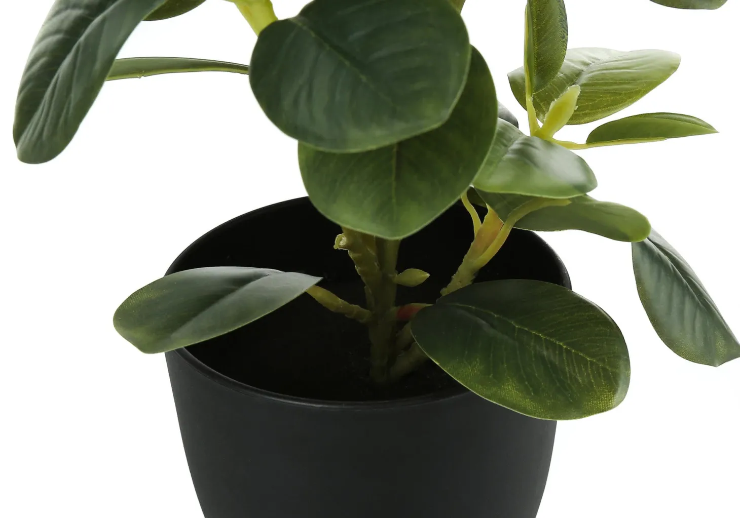 Plante artificielle - 2mcx, 14"H ficus elastica pot 4"