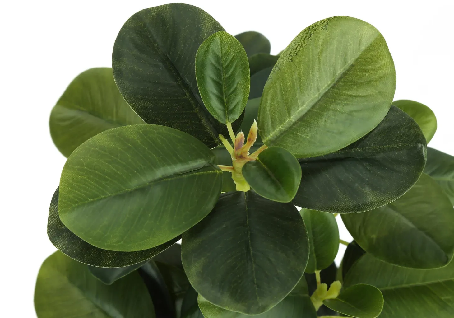 Plante artificielle - 2mcx, 14"H ficus elastica pot 4"