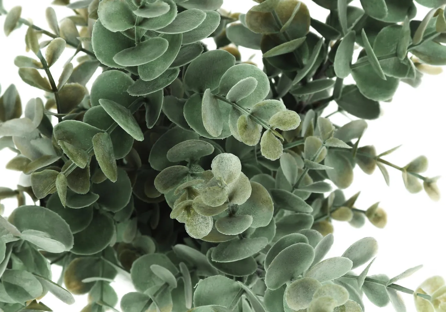 Plante artificielle - 2mcx, 13"H eucalyptus/gazon pot 4"