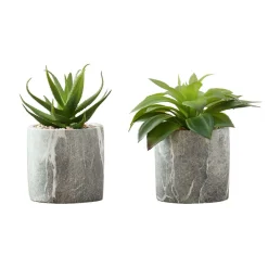 Plante artificielle - 2mcx, 7"H succulent pot ciment 4"