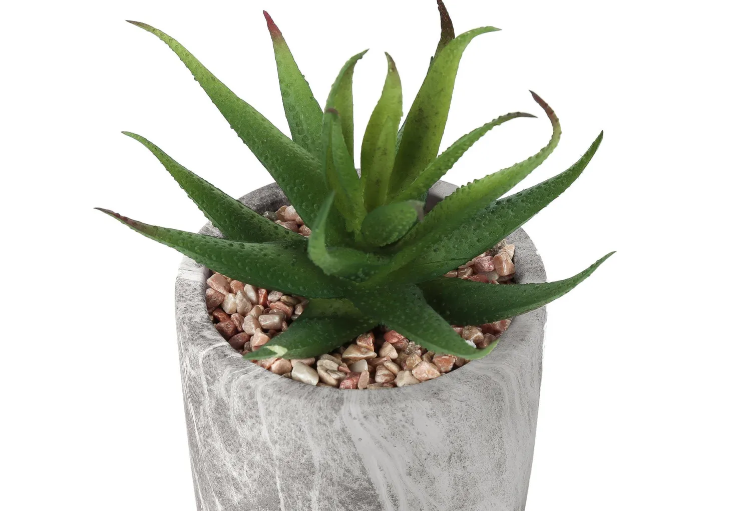 Plante artificielle - 2mcx, 7"H succulent pot ciment 4"