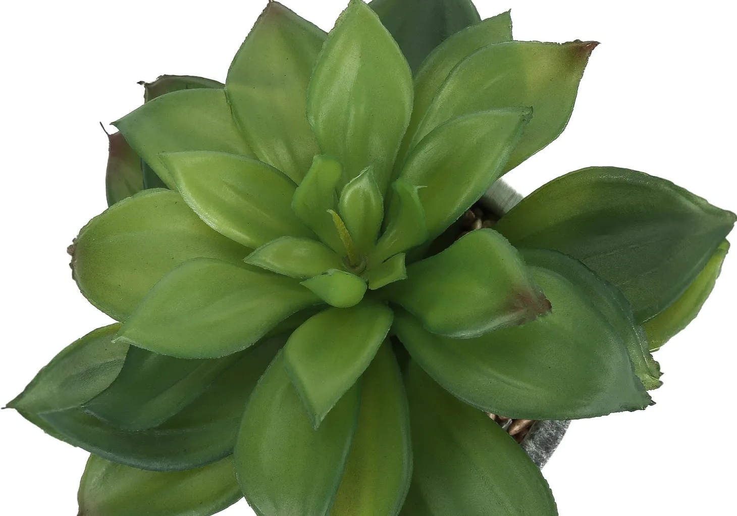 Plante artificielle - 2mcx, 7"H succulent pot ciment 4"