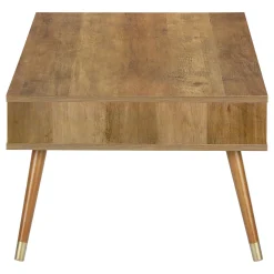 Table à café rectangulaire avec rangement - Monarch