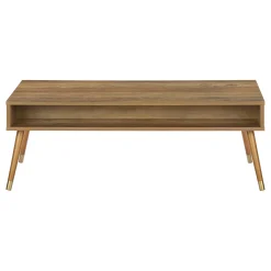 Table à café rectangulaire avec rangement - Monarch