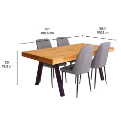 Table avec 4 chaises - gris