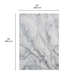Tapis 8 X 10 pi