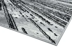 Tapis 5 X 8 pi