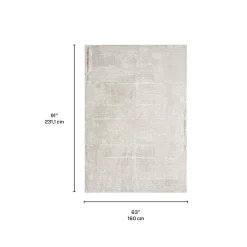 Tapis 5 X 8 pi
