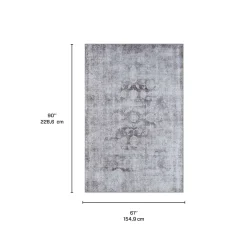 Tapis 5 X 7 pi